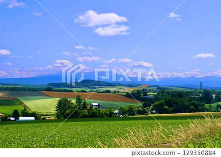 拼布之路（北海道上川郡美瑛町） 129350884