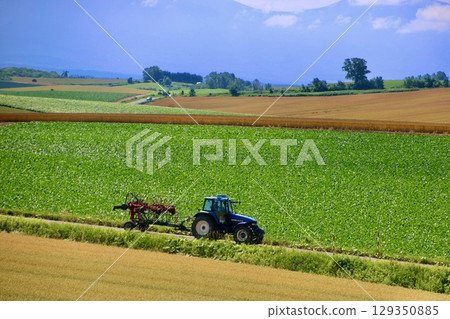拼布之路(北海道上川郡美瑛町) 拼布之路(北海道上川郡美瑛町) 129350885