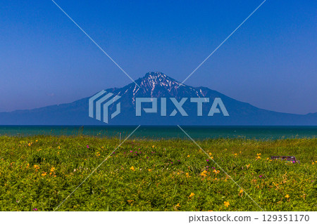 [北海道_稚內_濱遊公園] 六月七月浮在日本海上的利尻富士美景 129351170