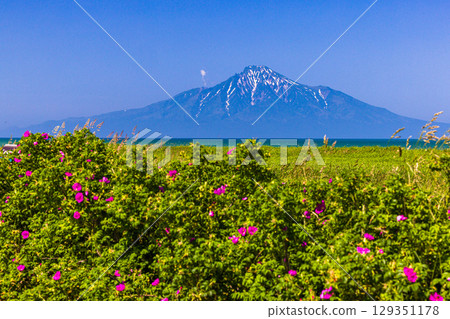 [北海道_稚內_濱遊公園] 六月七月浮在日本海上的利尻富士美景 129351178