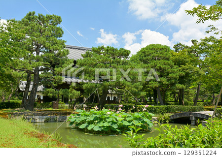 京都·Kenninji 京都·Kenninji 129351224