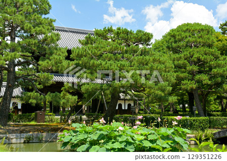 京都·Kenninji 129351226