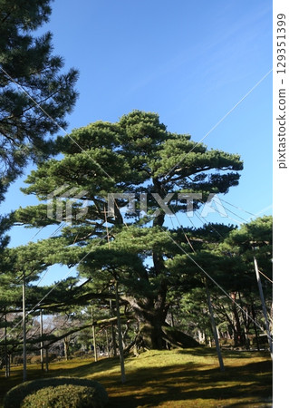Kenrokuen Kenrokuen 129351399