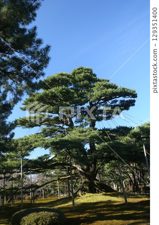 Kenrokuen 129351400