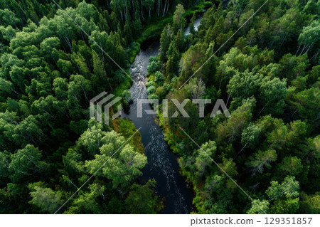 Winding river flows through lush green forest landscape 129351857
