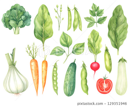 watercolor vegetables seamless pattern isolated on white background watercolor vegetables seamless pattern isolated on white background 129351946