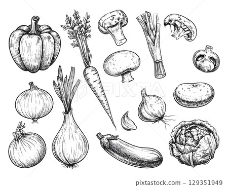 Hand Drawn Vegetables Sketch Colloection Hand Drawn Vegetables Sketch Colloection 129351949