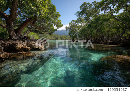 Explore the beauty of a tropical lagoon with clear waters Explore the beauty of a tropical lagoon with clear waters 129351987