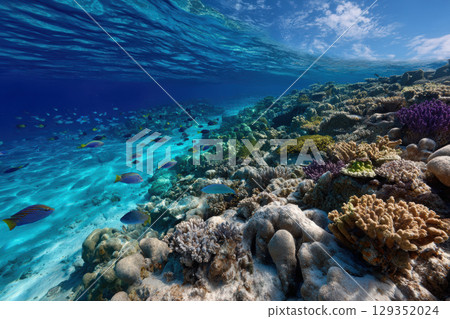 Vibrant coral reef ecosystem with colorful tropical fish 129352024