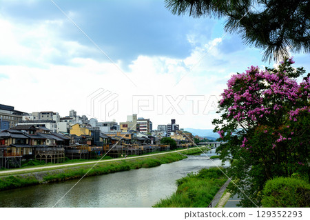 Kyoto · Kamogawa 129352293