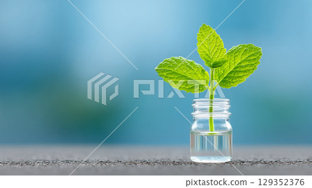 a bottle with small plant growing on a light blue 129352376
