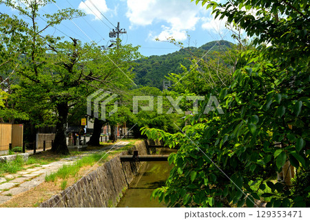 Kyoto · Philosophy road 129353471
