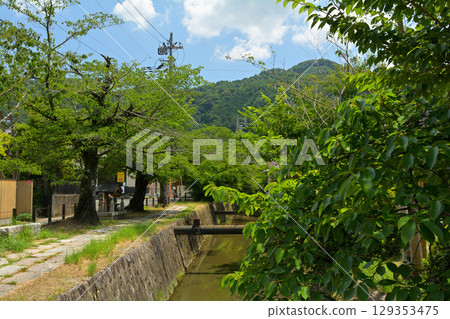 京都·哲學之路 129353475