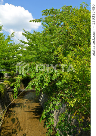 Kyoto · Philosophy road 129353480
