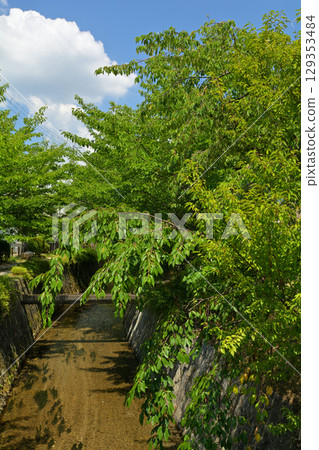 Kyoto · Philosophy road Kyoto · Philosophy road 129353484