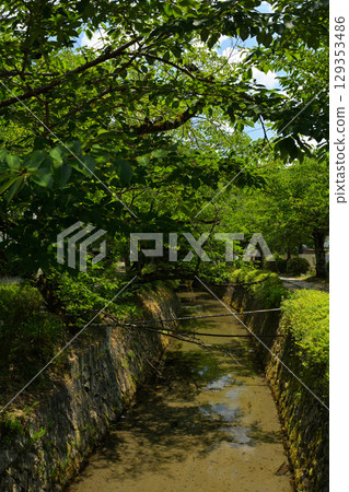 Kyoto · Philosophy road 129353486