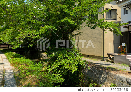 Kyoto · Philosophy road 129353488