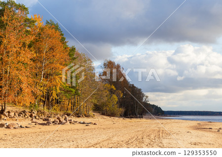 Autumn Forest Scene by a Sandy Beach Under a Cloudy Sky Autumn Forest Scene by a Sandy Beach Under a Cloudy Sky 129353550