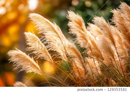 秋季紫芒特寫（AI 生成的圖像） 129353581