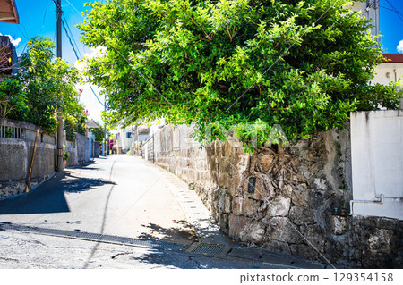 美麗熱帶村莊的後巷 129354158