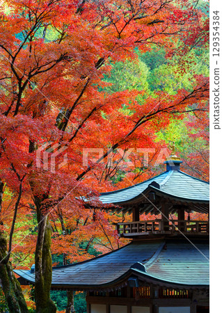 被秋葉包圍的愛宕念佛寺 被秋葉包圍的愛宕念佛寺 129354384