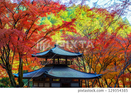 被秋葉包圍的愛宕念佛寺 129354385