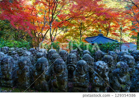 Otagi Nenbutsu-ji Temple surrounded by autumn leaves Otagi Nenbutsu-ji Temple surrounded by autumn leaves 129354386