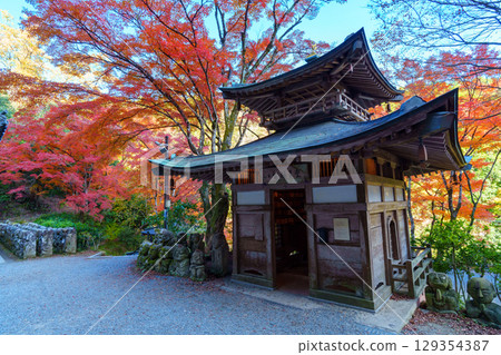 Otagi Nenbutsu-ji Temple surrounded by autumn leaves Otagi Nenbutsu-ji Temple surrounded by autumn leaves 129354387