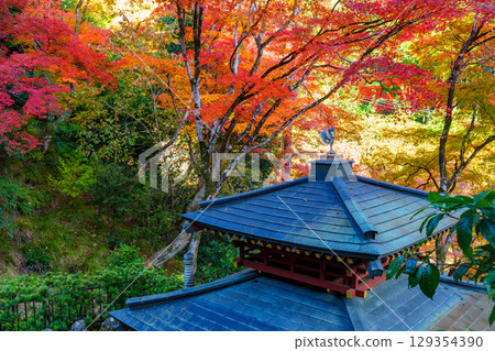 被秋葉包圍的愛宕念佛寺 被秋葉包圍的愛宕念佛寺 129354390
