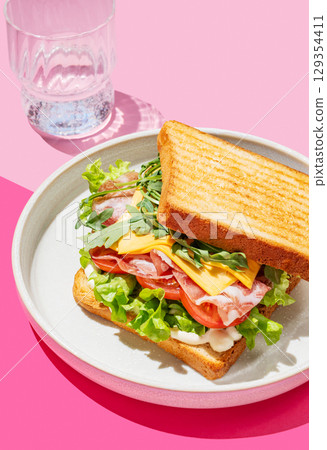 Club sandwich of toast bread with bacon, cheese, tomatoes, lettuce, arugula and sauce in a plate Club sandwich of toast bread with bacon, cheese, tomatoes, lettuce, arugula and sauce in a plate 129354411