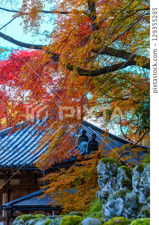 京都Atago菩薩寺廟秋天 129355285