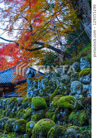 Autumn of Kyoto Atago Buddha temple 129355290