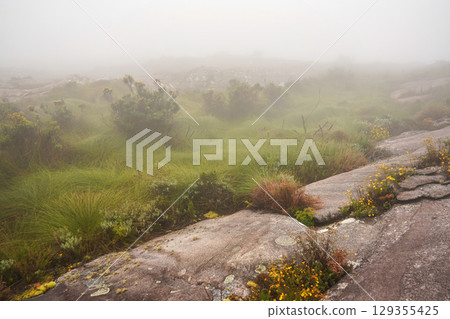 Low grass and bushes growing over terrain with large round stones, mist at background. Typical landscape seen during trek to Pic Boby in Andringitra national park 129355425