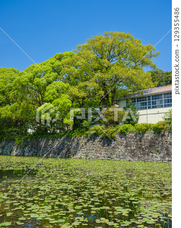 Kanagawa_Odawara Castle South Bailey and Moat Scenery Kanagawa_Odawara Castle South Bailey and Moat Scenery 129355486