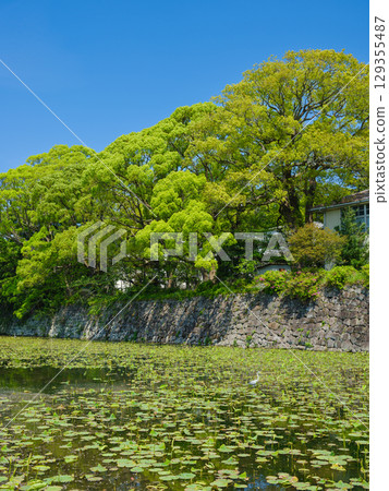 Kanagawa_Odawara Castle South Bailey and Moat Scenery 129355487