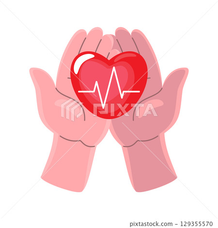 CPR . Hands hold heart with ECG cartoon illustration . Vector . CPR . Hands hold heart with ECG cartoon illustration . Vector . 129355570
