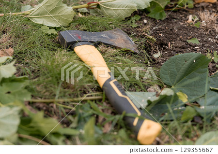Rusty Axe Resting on Ground Among Lush Green Foliage, Dark Soil, Natural Landscape, Outdoor Setting, Dramatic Lighting, Still Life 129355667