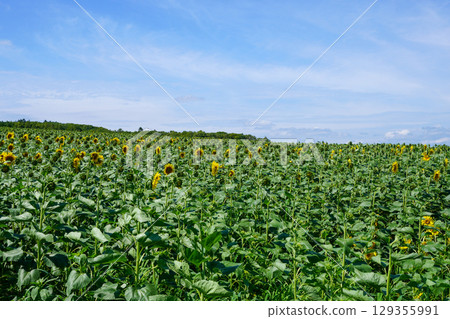 Himalayori no Sato 129355991