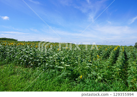 Himalayori no Sato 129355994