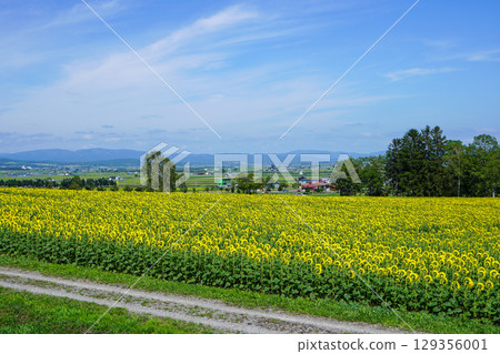 喜馬拉雅里沒有佐藤 129356001