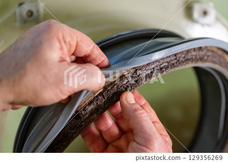 Cleaning washing machine concept. Hands of a man with rubber gasket of washer with much dirt and lime underneath 129356269