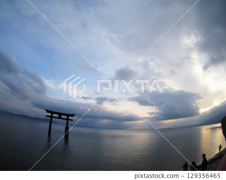 滋賀縣,琵琶湖畔的白須神社鳥居 ⑧ 滋賀縣,琵琶湖畔的白須神社鳥居 ⑧ 129356465