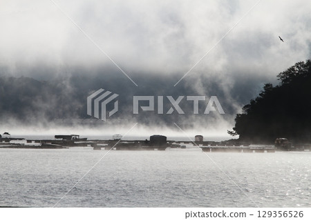 Foggy morning 129356526