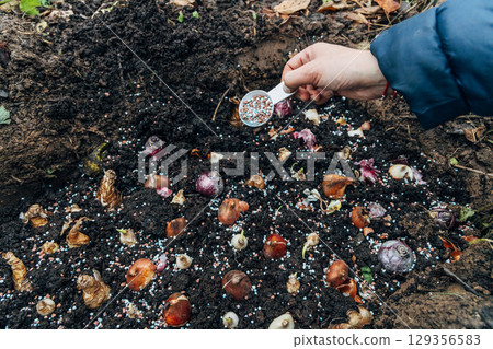 A gloved hand holds a shovel and fertilizes the ground before planting, autumn A gloved hand holds a shovel and fertilizes the ground before planting, autumn 129356583