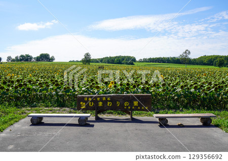 喜馬拉雅里沒有佐藤 129356692