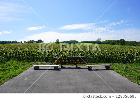 喜馬拉雅里沒有佐藤 129356693