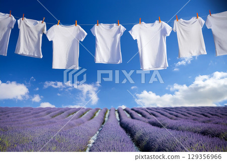 Lavender fields and dried laundry Lavender fields and dried laundry 129356966