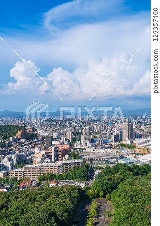 Summer in downtown Nagoya, view from Higashiyama Sky Tower (Nagoya, Aichi Prefecture) 129357460
