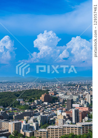 從東山天空塔眺望名古屋市中心的夏天(愛知縣名古屋市) 從東山天空塔眺望名古屋市中心的夏天(愛知縣名古屋市) 129357461