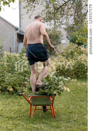 Bare-Chested Man Balancing on Wheelbarrow in Lush Garden Backyard, Summer Day, Orange Tool, Rural Scene, Natural Landscape. Bare-Chested Man Balancing on Wheelbarrow in Lush Garden Backyard, Summer Day, Orange Tool, Rural Scene, Natural Landscape. 129357579